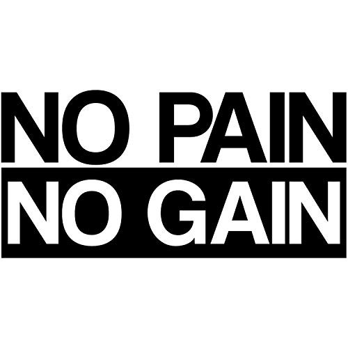 My Vinyl Story  No Pain No Gain  Motivational Large Gym Fitness Wall Decal Quote for Home Gym Workout Motivational Wall Art Decor Vinyl Removable Sticker