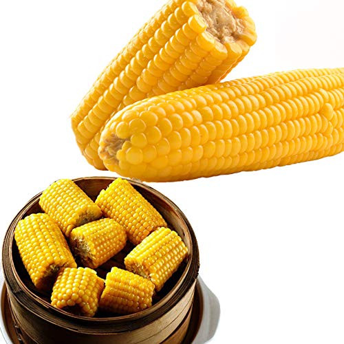 Frozen Sweet Corn Organic Sweet Corn Cooked Corn on the Cob in Minutes Organically Farmed Frozen Vegetables Non-GMO 15_5 OZ
