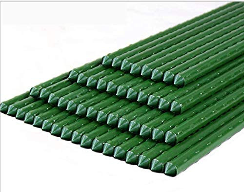 N  D Garden Stakes 23_6-Inch Plastic Coated Steel Stakes Sturdy Plant Metal Sticks Support Pack of 15 Green Supporting Tomatoes Trees Cucumbers Fences Beans Sturdy Metal Garden Stakes