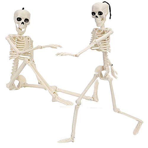 2 Pack 16Posable Halloween Skeleton Full Body Halloween Skeleton with Movable Joints for Halloween Party Haunted House Accessories Bar Graveyard Decorations Party