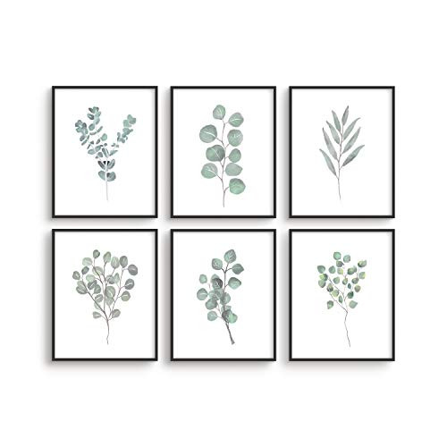 Leaf Prints Botanical Wall Decor - By Haus and Hues  Set of 6 Botanical Art Prints  and  Eucalyptus Leaves Wall Decor  Botanical Prints Wall Art Eucalyptus Wall Decor Plant Decor  Unframed 8 x 10