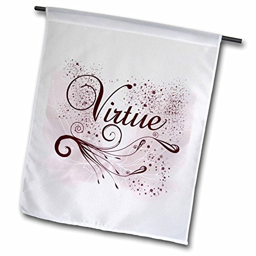 3dRose fl-108902-1Virtue with Pink Angel Wings - Word Art Garden Flag 12 x 18 3dRose fl-108902-1Virtue with Pink Angel Wings - Word Art Garden Flag 12 x 18