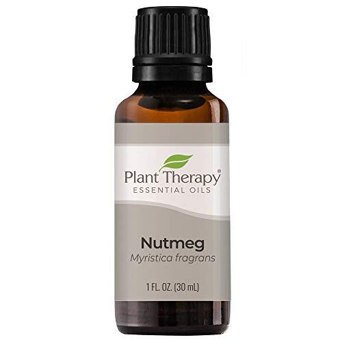 Plant Therapy Nutmeg Essential Oil 30 mL 1 oz 100 Pure Undiluted Therapeutic Grade Plant Therapy Nutmeg Essential Oil 30 mL 1 oz 100 Pure Undiluted Therapeutic Grade