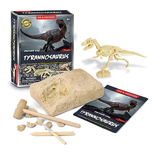 Stemclas Excavation Kits for Kids Great Educational Gift STEM Toys for Boys Girls Dinosaur Fossil Dig Kit Stemclas Excavation Kits for Kids Great Educational Gift STEM Toys for Boys Girls Dinosaur Fossil Dig Kit