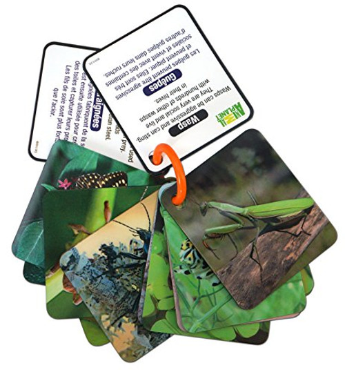 Animal Planet 3D Flash Cards - Bugs Animal Planet 3D Flash Cards - Bugs