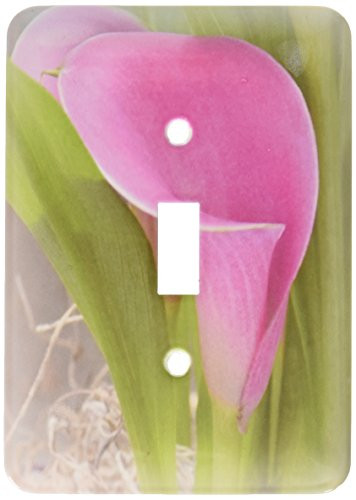 3dRose lsp-37519-1 Pink Calla Lilies- Flowers- Floral Photography Single Toggle Switch
