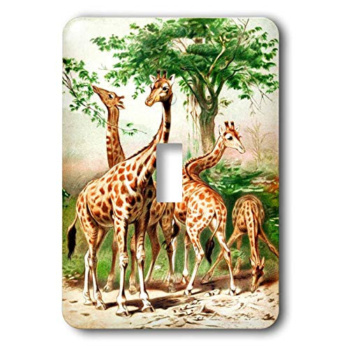 3dRose lsp-44886-1 Old Painting Of Giraffes Toggle switch
