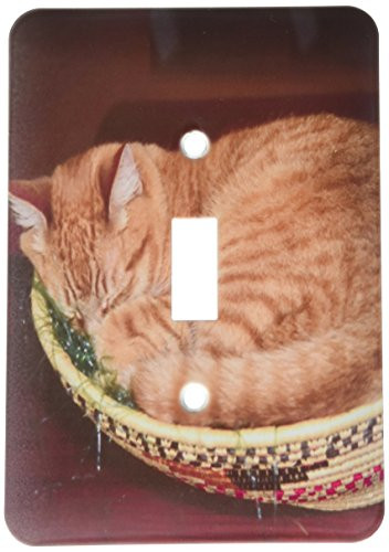 3dRose LLC lsp-83708-1 Orange Tabby Cat Asleep In An Easter Basket Na02 Csl0214 Charles Sleicher Single Toggle Switch