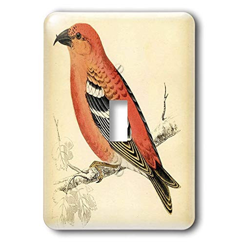 3dRose lsp-41733-1 Beautiful Salmon Color Vintage Bird Light Switch Cover