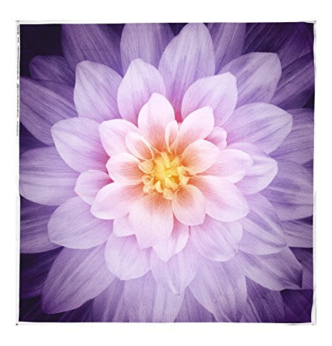 Hoffman Fabrics Dream Big Digital 44 Panel Floral Orchid