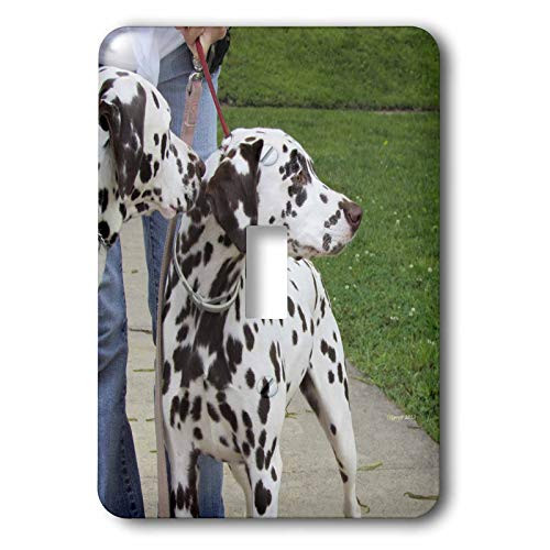 3dRose lsp-21176-1 Dalmatians Single Toggle Switch