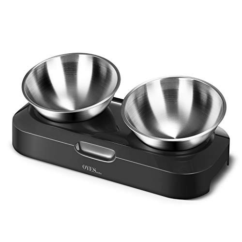 OYESAUTO Elevated Dog and Cat Bowls15°Tilted Cat Food and Water Bowls with Stainless Steel Pet Feeding Bowls for Cats and Small Dogs Double Bowls OYESAUTO Elevated Dog and Cat Bowls15°Tilted Cat Food and Water Bowls with Stainless Steel Pet Feeding Bowls for Cats and Small Dogs Double Bowls