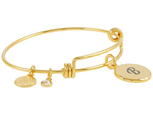 Alex and Ani Halos  and  Glories Letter B Bangle Shiny Gold One Size