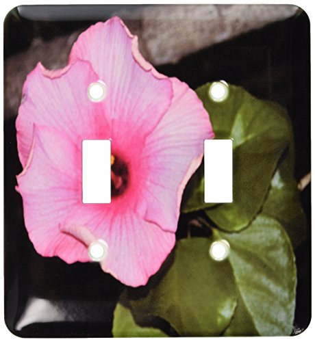 3dRose lsp-33105-2 Pink Hibiscus-0061 Toggle Switch Multi-Color