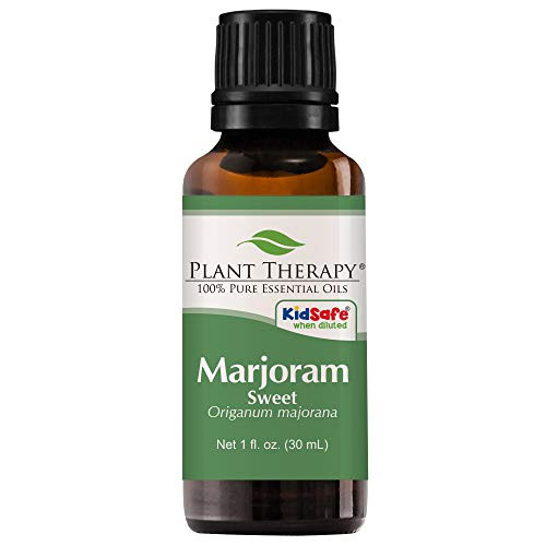 Plant Therapy Marjoram Sweet Essential Oil 100 Pure Undiluted Natural Aromatherapy Therapeutic Grade 30 mL 1 oz
