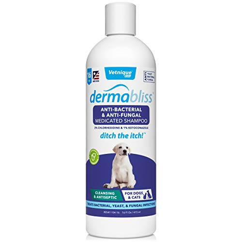 VETNIQUE LABS Dermabliss Anti-Bacterial  and  Antifungal Medicated Dog Shampoo Ketoconazole Shampoo for Dogs  and  Cats for The Treatment of Hot Spot Yeast Infection and Skin Allergies 16 Fl Oz
