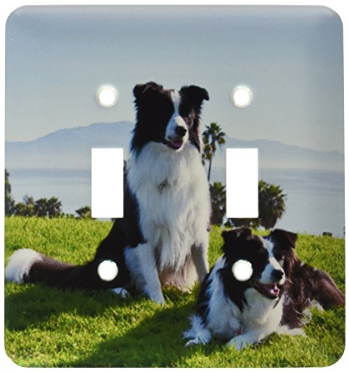3dRose lsp-88785-2 Two Border Collie Dogs Us05 Zmu0093 Zandria Muench Beraldo Double Toggle Switch