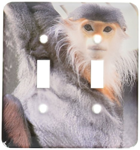 3dRose lsp-3879-2 Douc Langur Monkey Double Toggle Switch