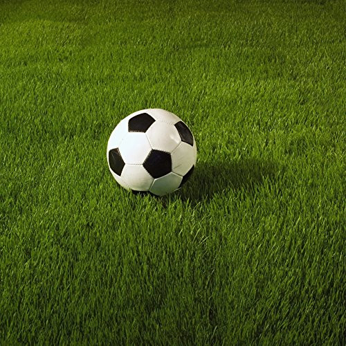 Posterazzi Soccer Ball On Grass Poster Print 15 x 15