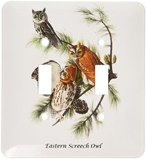 3dRose LLC lsp-114062-2 Eastern Screech Owl By John James Audubon Double Toggle Switch 3dRose LLC lsp-114062-2 Eastern Screech Owl By John James Audubon Double Toggle Switch