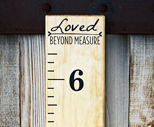 Little Acorns DIY Vinyl Growth Chart Ruler Decal Kit Loved Beyond Measure