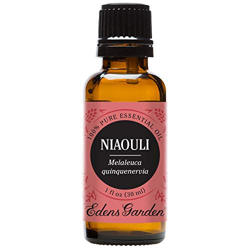 Edens Garden Niaouli Essential Oil 100 Pure Therapeutic Grade Acne and Allergies 30 ml Edens Garden Niaouli Essential Oil 100 Pure Therapeutic Grade Acne and Allergies 30 ml