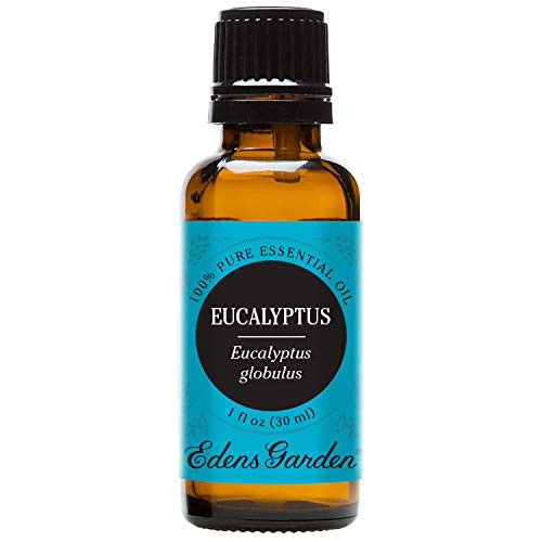 Eucalyptus 100 Pure Therapeutic Grade Essential Oil 30 ml Eucalyptus 100 Pure Therapeutic Grade Essential Oil 30 ml