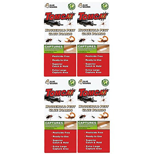 Tomcat Household Pest Glue Boards For Roaches Insects Scorpions and Spiders 4 pack 4 boards