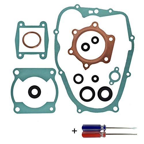 Engine Head Gasket Kit with Oil Seals Compatible for Yamaha Blaster 200 YFS200 1988-2006 Professional Top and Bottom End Complete Set with Slotted Phillips Screwdriver