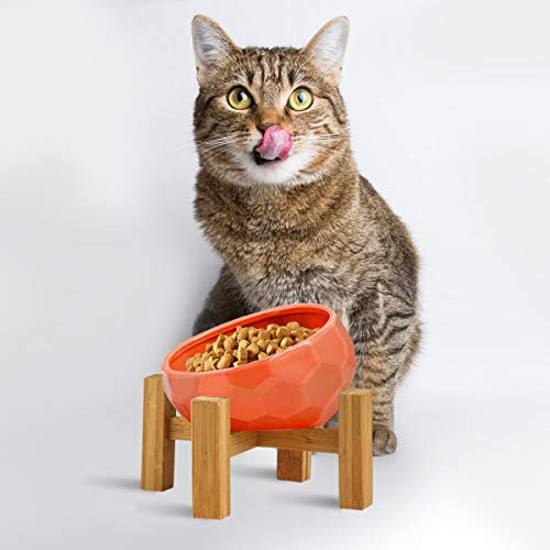 Lifetech Ceramic Dog Bowl Raised Cat Bowl Slanted Cat Dish with Wood Stand Pet Food Water Feeder No Spill Pet Feeding Bowls Tilted Cat Dog Basic Bowl Orange Lifetech Ceramic Dog Bowl Raised Cat Bowl Slanted Cat Dish with Wood Stand Pet Food Water Feeder No Spill Pet Feeding Bowls Tilted Cat Dog Basic Bowl Orange