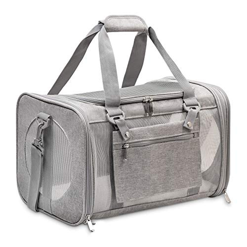 Prodigen Pet Carrier Airline Approved Pet Carrier Dog Carriers for Small Dogs Cat Carriers for Small Cats Medium Cats Small Pet Carrier Small Dog Carrier Cat Pet Travel Carrier -GrayM