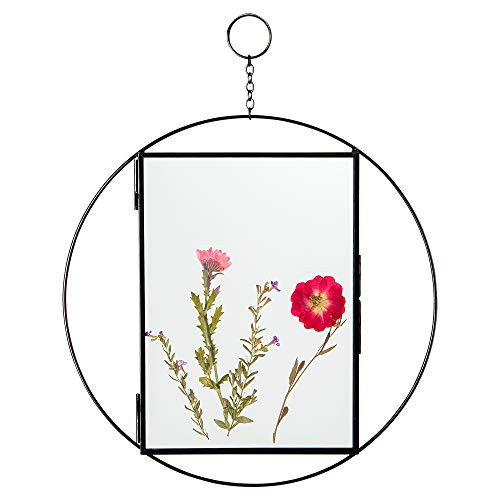 Rainbows  and  Lilies Glass Frame for Pressed Flowers - Includes Dried Flowers in Floating Frame Double Glass Frame Opens to Display Photos  and  Artwork Photo Frame Hanging Picture Frames 5x7 in Black