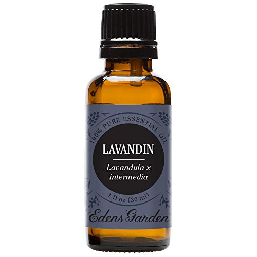 Edens Garden Lavandin Essential Oil 100 Pure Therapeutic Grade Allergies and Detox 30 ml Edens Garden Lavandin Essential Oil 100 Pure Therapeutic Grade Allergies and Detox 30 ml
