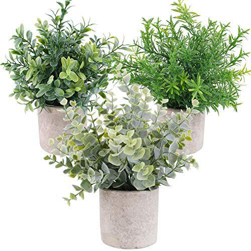 OUTLEE 3 Pack Mini Artificial Potted Plants Faux Eucalyptus Plants Boxwood Rosemary Greenery in Pots Small Houseplants for Home Decor Office Desk Shower Room Decoration_ OUTLEE 3 Pack Mini Artificial Potted Plants Faux Eucalyptus Plants Boxwood Rosemary Greenery in Pots Small Houseplants for Home Decor Office Desk Shower Room Decoration_