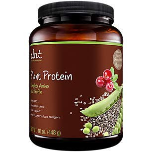 plnt Chocolate Plant Protein Powder with Complete Amino Acid Profile Raw Protein Blend Easy to Digest Provides Energy 19g of Protein Per Serving 1 Pound Powder
