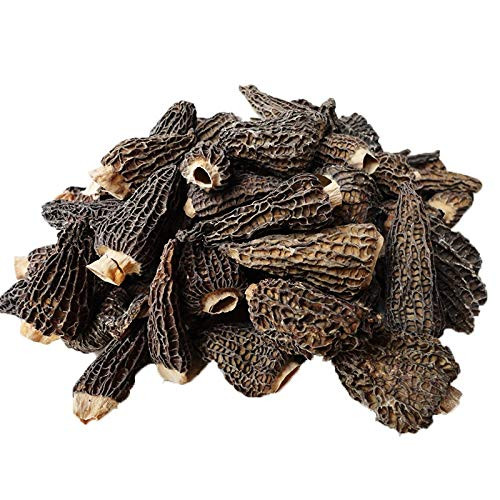 Dried Morel Mushrooms Morchella Conica 2oz Dried Morel Mushrooms Morchella Conica 2oz