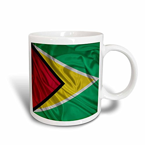 3dRose mug_31554_3 Guyana Flag  - Magic Transforming Mug, Multicolored, 11 oz