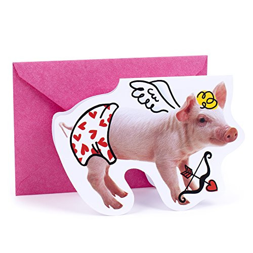 Hallmark Shoebox Funny Valentines Day Card  Cupid Pig