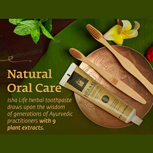 Isha Herbal Toothpaste _ Natural_ 100 percent  SLS and Fluoride Free _ 1_8ounce