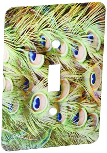 3dRose lsp_156169_1 Peacock Tail Feathers Eyes Single Toggle Switch
