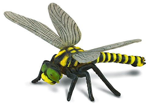CollectA Insects Golden_Ringed Dragonfly Toy Figure _ Authentic Hand Painted Model