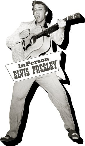 AQUARIUS Elvis Tupelo Chunky Magnet