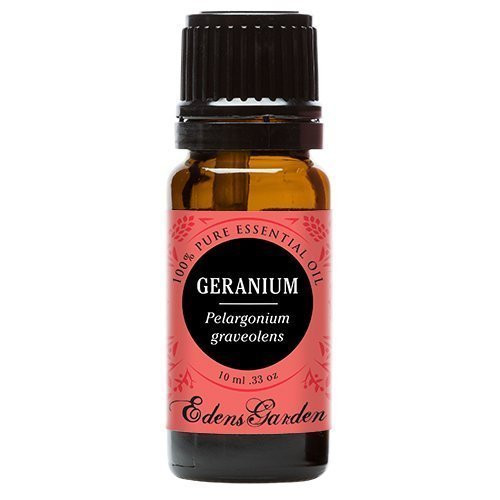 Edens Garden Geranium 10 ml 100% Pure Undiluted Therapeutic Grade Essential Oil GC/MS Tested Edens Garden Geranium 10 ml 100% Pure Undiluted Therapeutic Grade Essential Oil GC/MS Tested