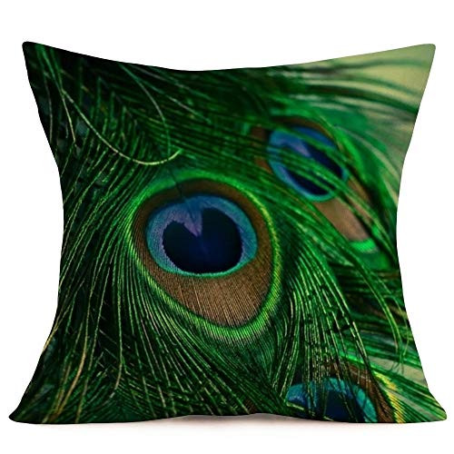 Doitely Pillow Cases Peacock Feather Decorative Throw Pillow Covers Cotton Linen Square Cushion Cover Standard My Pillowcases for Sofa Couch Home Deco