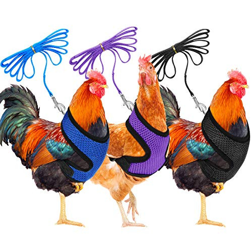 3 Pieces Adjustable Chicken Harness with Leash and Matching Belt_ Comfortable Hen Pet Vest Breathable Chicken Training Harness for Chicken_ Duck or Go