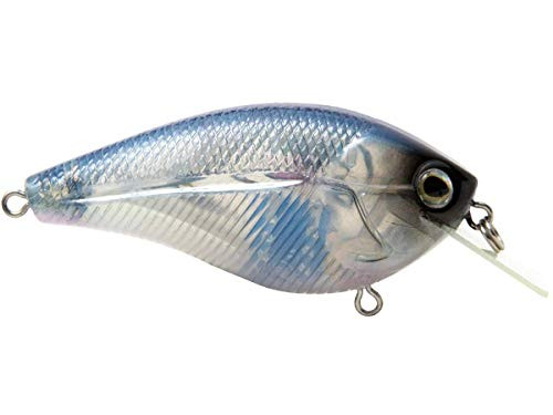 Livingston Lures Primetyme¹ SQ 2_0 Pro Blue 3751