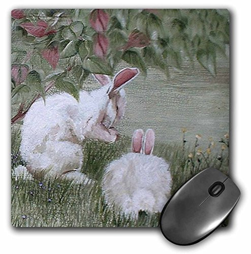3dRose LLC 8 x 8 x 0.25 Inches Mouse Pad, 2 Bunny Rabbits Under A Bush Eating One Side view One Rear View (mp_44346_1)