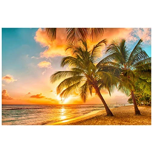Northcott The View From Here Paradise 28in Panel Island Sunset Quilt Fabric