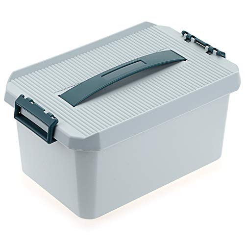 BTSKY Plastic Storage Box and  Carry Box_ Plastic Multipurpose Portable Tool Box Sewing Box Organizer with Removable 4 Compartments Tray and Locking Lid  and