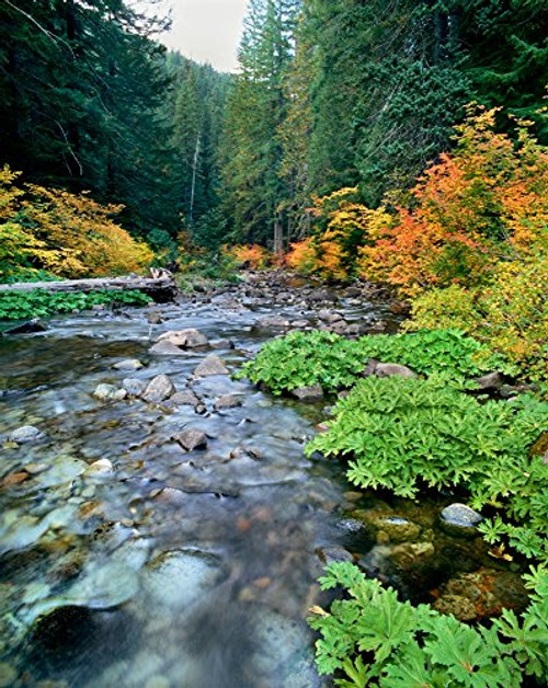 View of North Santiam River flowing through rocks Willamette National Forest Lane County Oregon USA Poster Print by Panoramic Images  14 x 11